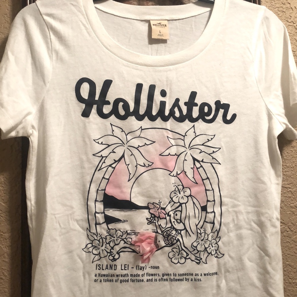 NWT Very Vintage, Rare & HTF Hollister Island Lei Top.  Size Large. Very Soft